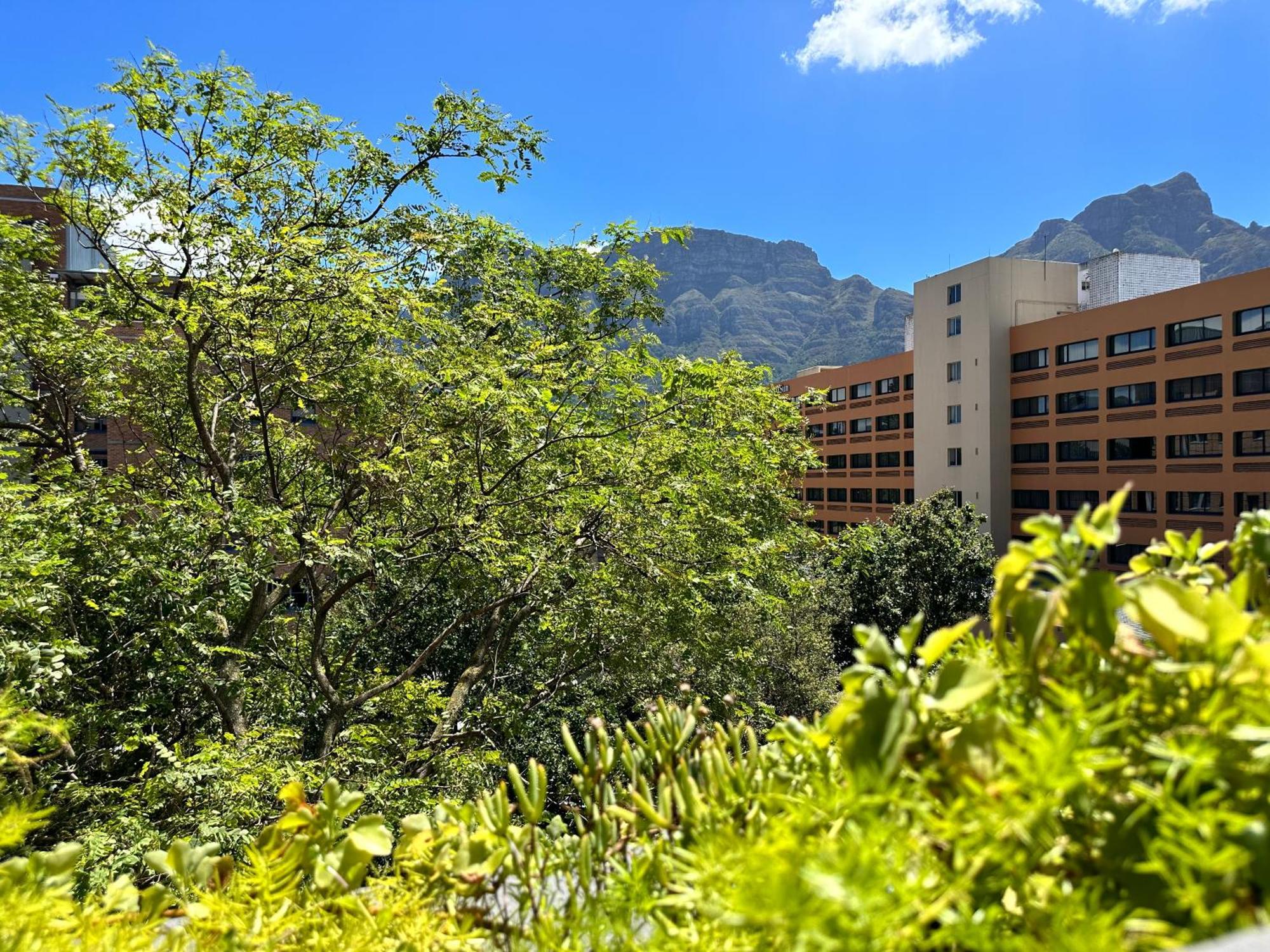 Newlands Peak Apartments Kapstadt Exterior foto